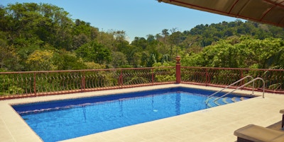 Svømmebasseng med tropiske omgivelser.