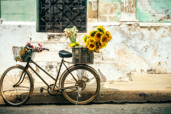 Sykkel med blomster i kurv, Camagüey, Cuba