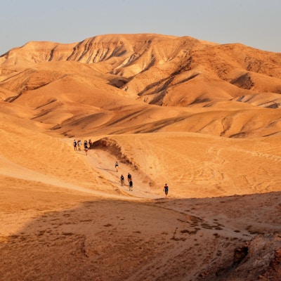 Ørkenvandring over sanddyner i Negev-ørknenen Israel