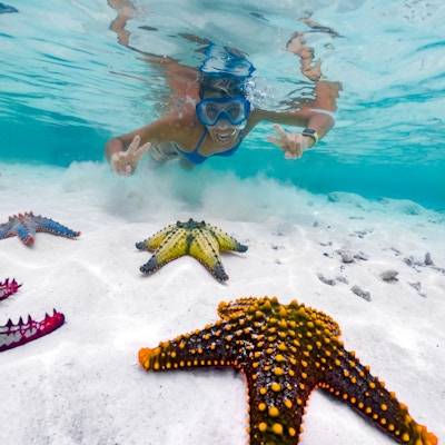 Voksen kvinne som viser fredsskilt mens hun snorkler rundt tropisk sjøstjerne.