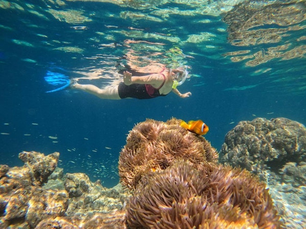 Jente snorkler mellom korallrev med oransje fisk svømmende ved siden av.