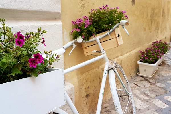 Hvit sykkel dekorert med blomster