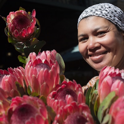 Kvinne i Cape Town som selger protea, Sør-Afrikas nasjonalblomst.