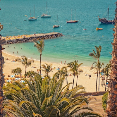 Gran Canaria, beach, palm trees, ocean