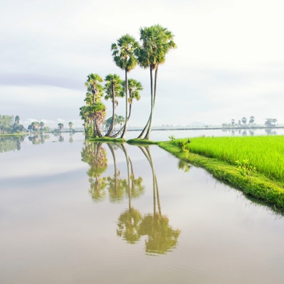 Mekong-deltaet i Sør-Vietnam er en enorm labyrint av elver, sumper og øyer, hjem til flytende markeder, pagoder og landsbyer omgitt av rismarker. Båter er det viktigste transportmiddelet, og turer i regionen starter ofte i den nærliggende Ho Chi Minh-byen (tidligere kjent som Saigon) eller Can Tho, en yrende by i hjertet av deltaet.