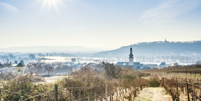 Byen Rudesheim og Rhinen på en kald vintermorgen