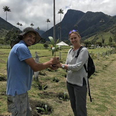 bilde av 2 personer som planter et tre i Valle del Cocora