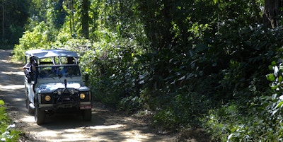 biltur med jeep i skogen i Paraty
