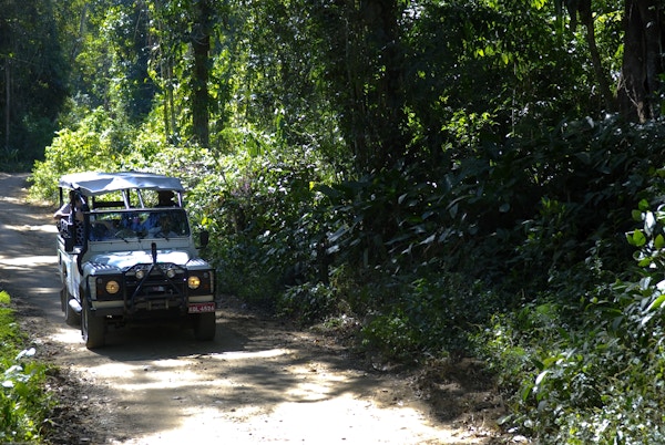 biltur med jeep i skogen i Paraty