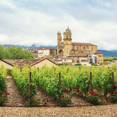 Vindistriktet Rioja med vinranker og by i bakgrunnen.