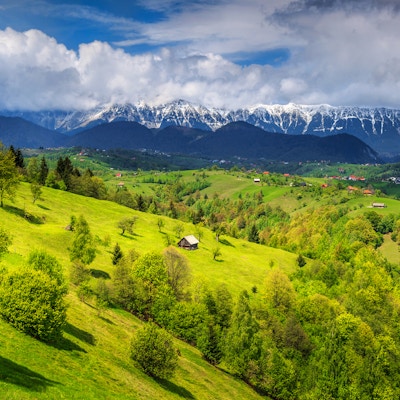 Fantastisk, alpint landskap med grønne åkrer og høye snødekte Piatra Craiului-fjell nær Brasov, Transylvania, Romania, Europa