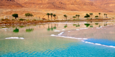 Dødehavets strand med palmer og fjell på bakgrunn