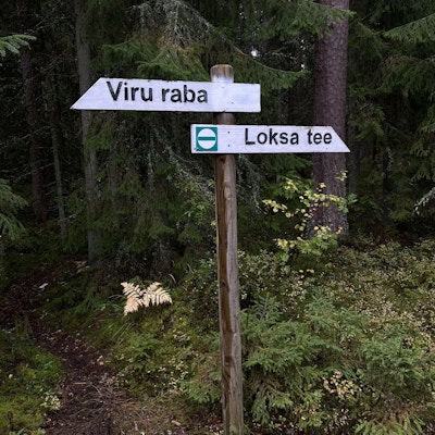 På tur i Lahemaa Nasjonal Park utenfor Tallinn