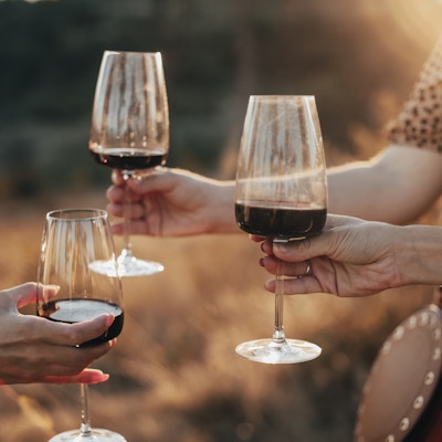 Beskjær anonyme kvinnelige venner som skåler med glass rødvin under utendørsfest på sommerkvelden på landsbygda