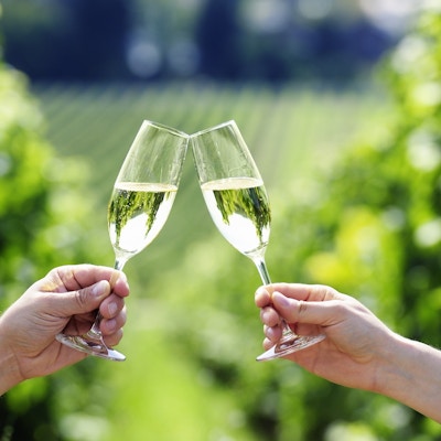 To hender med glass med musserende vin skåler med grønne vinmarker i bakgrunnen.