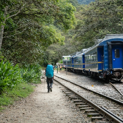 Baksiden av mannlig turgåer med ryggsekk. Turistmann vandre langs jernbane til Machu Picchu omgitt av grønne kilder, Peru