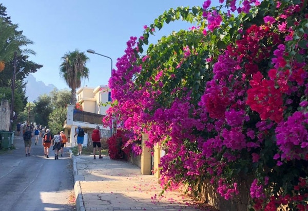 Turgåere i en gate med blomster i Nord-Kypros
