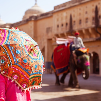 Baksikt, av, kvinne, avholdelse, fargerik, parasoll, amber fort, Jaipur, India. Indiske elefanter som går i bakgrunnen.