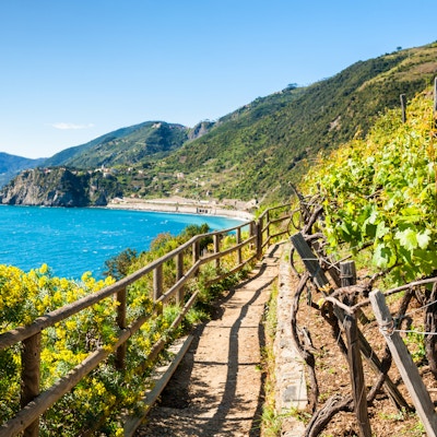 Sti i vingårder, vakker utsikt over havet og fjellene. Cinque Terre nasjonalpark, Liguria, Italia