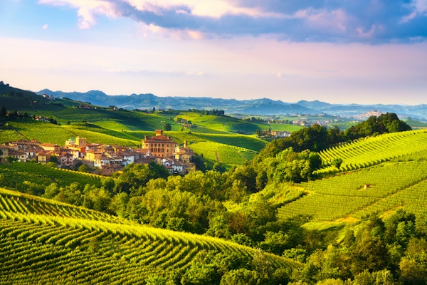 Langhe vingårder panorama, Barolo landsby, Unesco Site, Piemonte, Nord-Italia Europa.