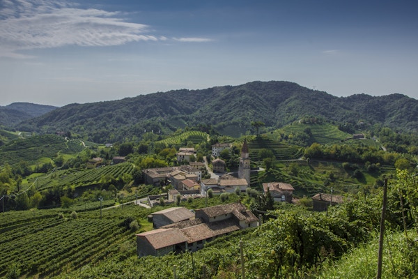Landskap av Prosecco Wine Vineyards Rolle Treviso Veneto Italy Landscapes Italian Wine Prosecco di Valdobbiadene