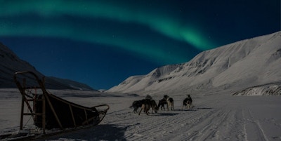 Hundespann med seks hunder i polarnatten med hvite fjell