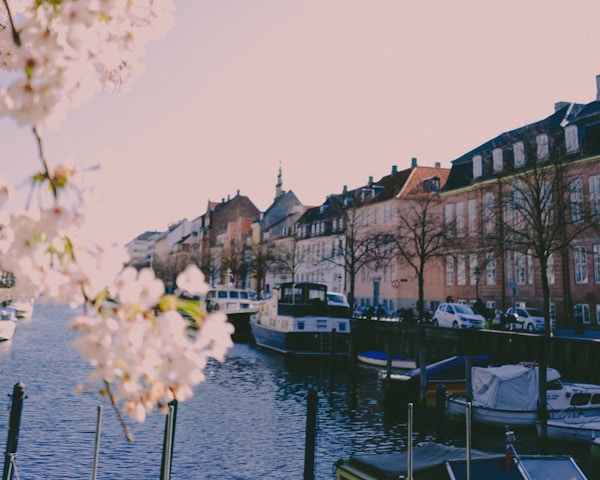 Christaishavn kanal med kirsebærblomster, båter og lett vind.