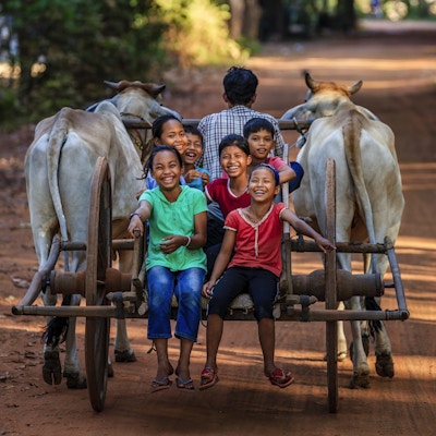 Gruppe av glade kambodsjanske barn som rir oksevogn i landsbyen nær Siem Reap, Kambodsja