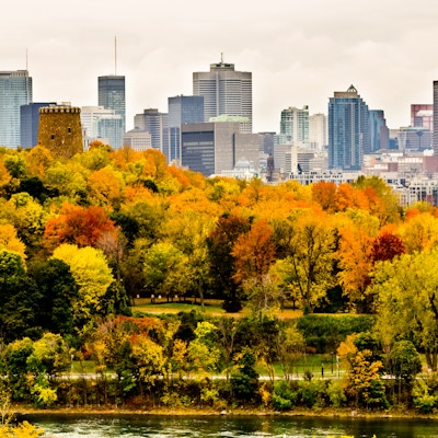 Skyskrapere i Montreal sentrum om høsten