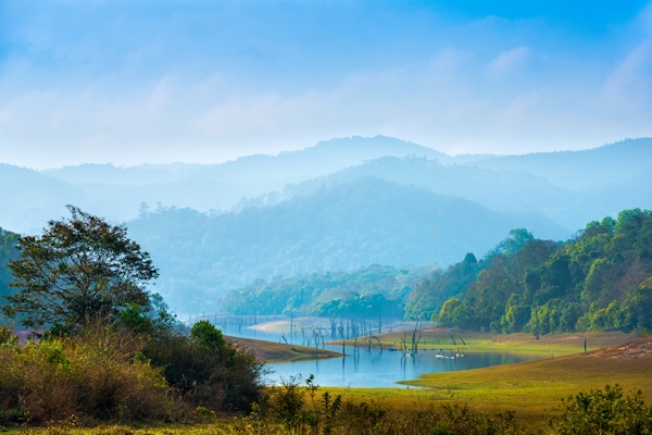 vakkert landskap på mystisk dag med fjell og innsjø, reisebakgrunn, Periyar nasjonalpark, Kerala, India