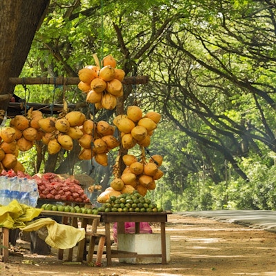 Sri Lankas fruktleverandør bod på vei fra Negombo til Kandy.
