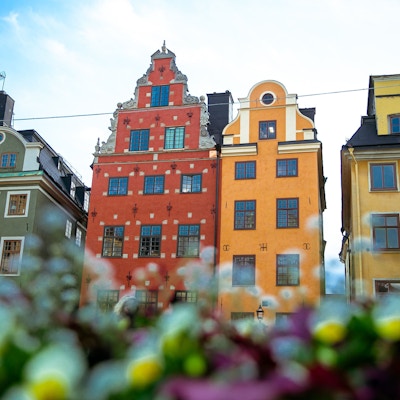 bygninger i forskjellige farger på dagtid