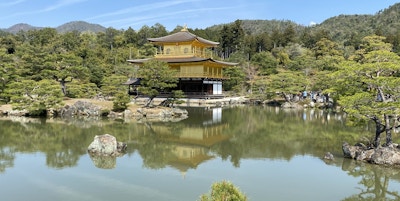 Et japansk tempel med gullfarge speiler seg i vannet. Natur rundt