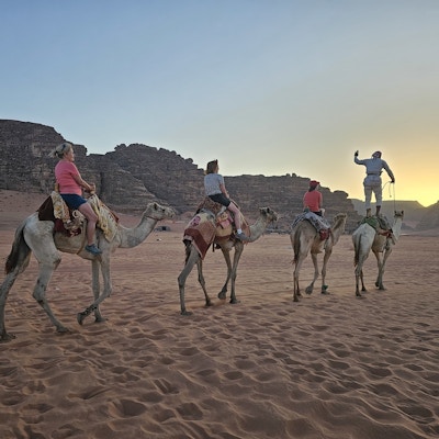 Duvende på kameler innover i ørkenen