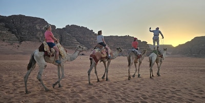 Duvende på kameler innover i ørkenen