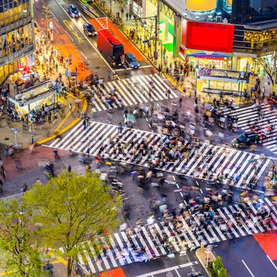 Tokyo, Japan utsikt over Shibuya Crossing, en av de travleste gangstier i verden.
