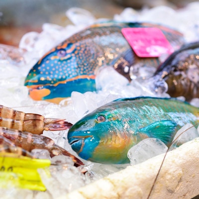 Fargerik fersk fisk ved en markedsbod.