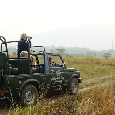 Jeep safari at kaziranga