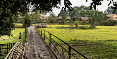 At diphlu bamboo walkways