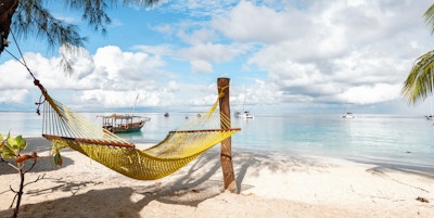 Gul hengekøye på den idylliske stranden i Zanzibar