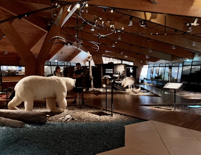 Utstilling av utstoppet isbjørn og reinsdyr på Svalbard Museum
