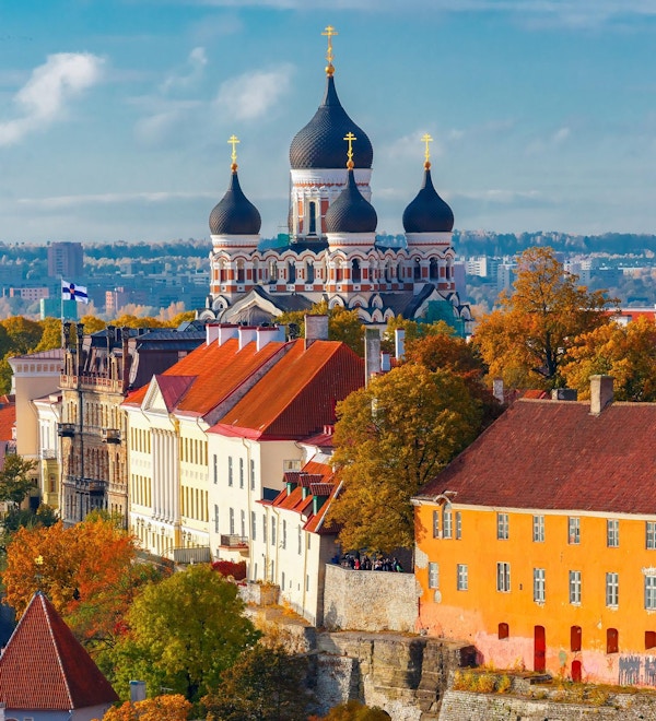 Toompea-bakken med tårnet Pikk Hermann og den russiske ortodokse Alexander Nevsky-katedralen, utsikt fra tårnet til St. Olaf kirke, Tallinn, Estland