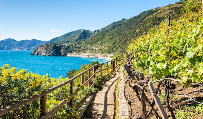 Sti langs Middelhavet, Cinque Terre i Italia.