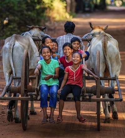 Gruppe av glade kambodsjanske barn som rir oksevogn i landsbyen nær Siem Reap, Kambodsja