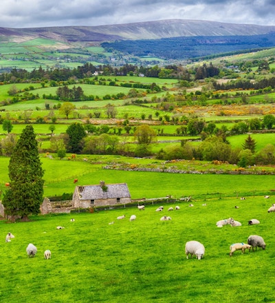 Landscape of Ireland