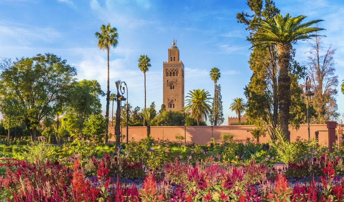 Utsikt over Koutoubia-moskeen og gardem i Marrakesh, Marokko. Blomsterrik hage med moskeen i bakgrunn