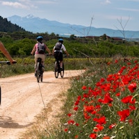 syklister på en fin grusvei med flotte blomster og og vakker natur