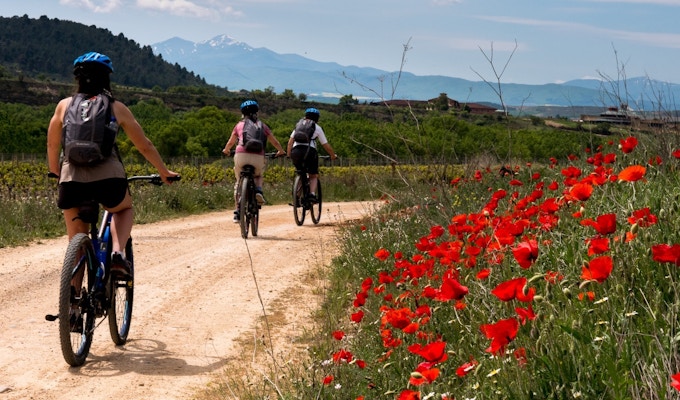 syklister på en fin grusvei med flotte blomster og og vakker natur