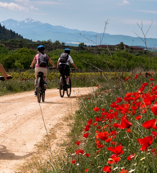 syklister på en fin grusvei med flotte blomster og og vakker natur