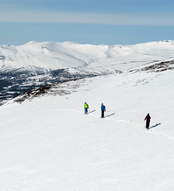 Fire personer, sett ovenfra, som er ute og går på ski i fjellet med sekk